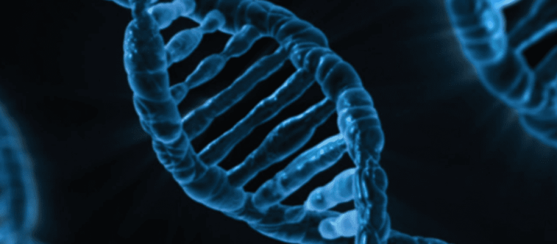 Découvertes ADN pour site blog